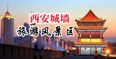 黑人妖xx射中国陕西-西安城墙旅游风景区